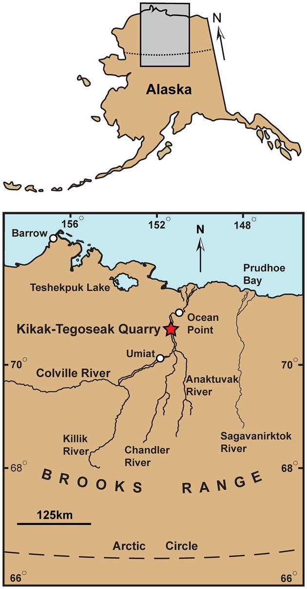 L’étoile rouge indique l’emplacement approximatif de la découverte, à Kikak- Tegoseak Quarry, en Alaska, aux U.S.A. / Photo : doi:10.1371/journal.pone.0091287.g001