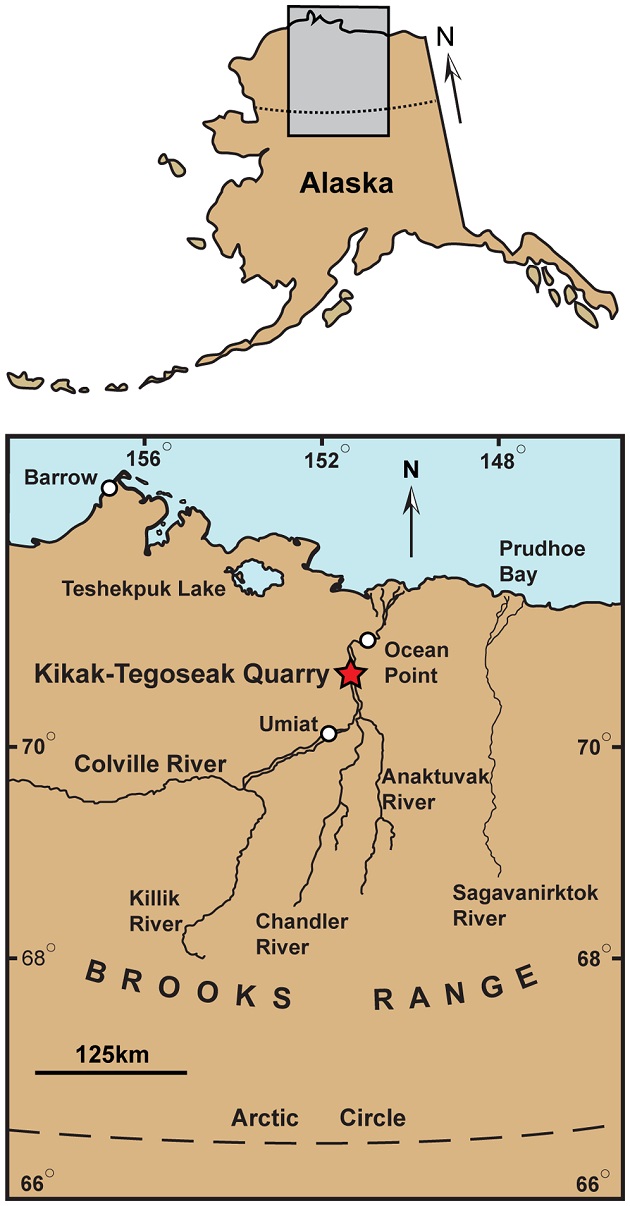 L’étoile rouge indique l’emplacement approximatif de la découverte, à Kikak- Tegoseak Quarry, en Alaska, aux U.S.A. / Photo : doi:10.1371/journal.pone.0091287.g001