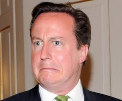David Cameron / Premier Ministre Britannique 
