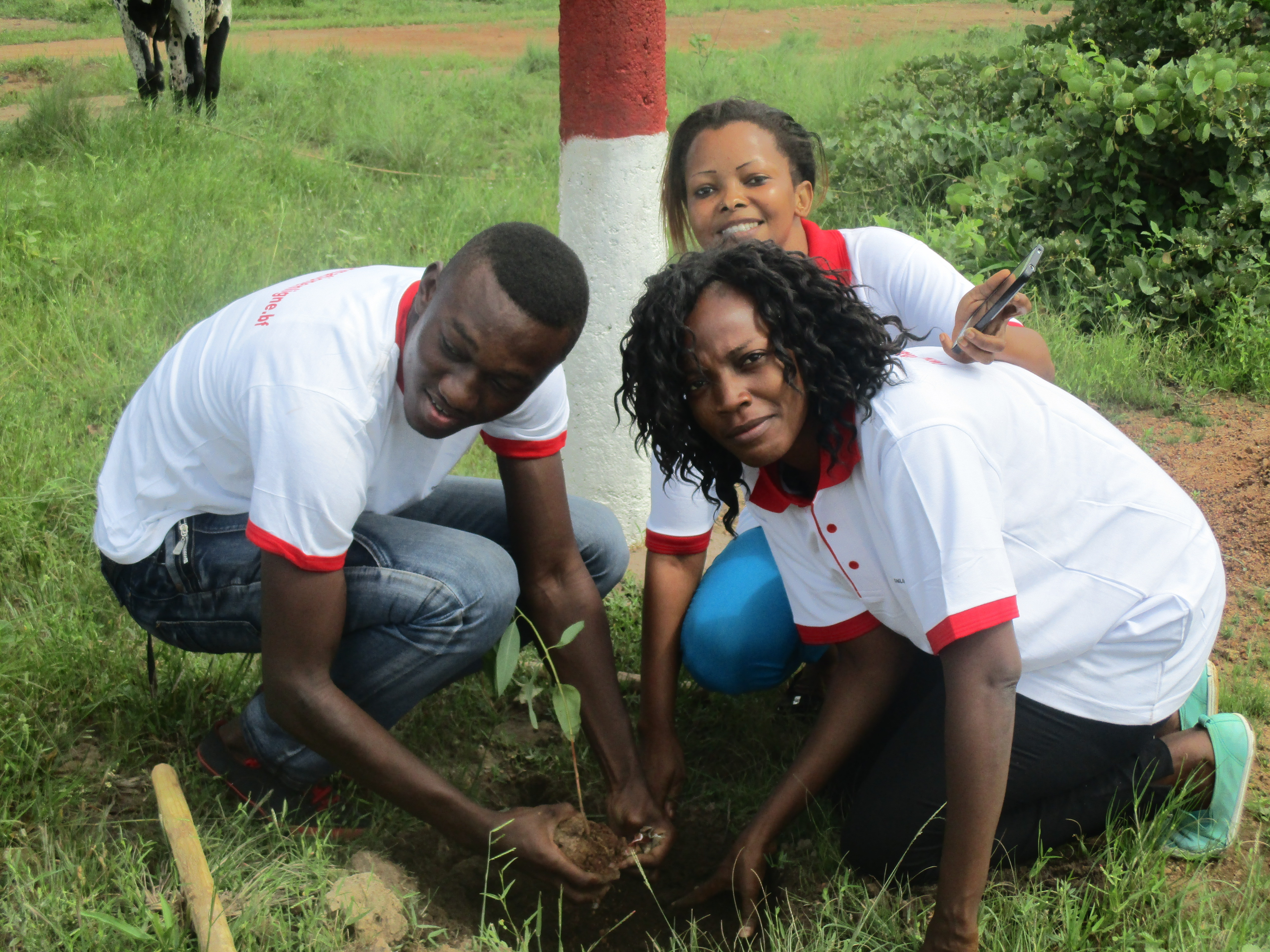 Reboisement du site de OTC à Donssin.