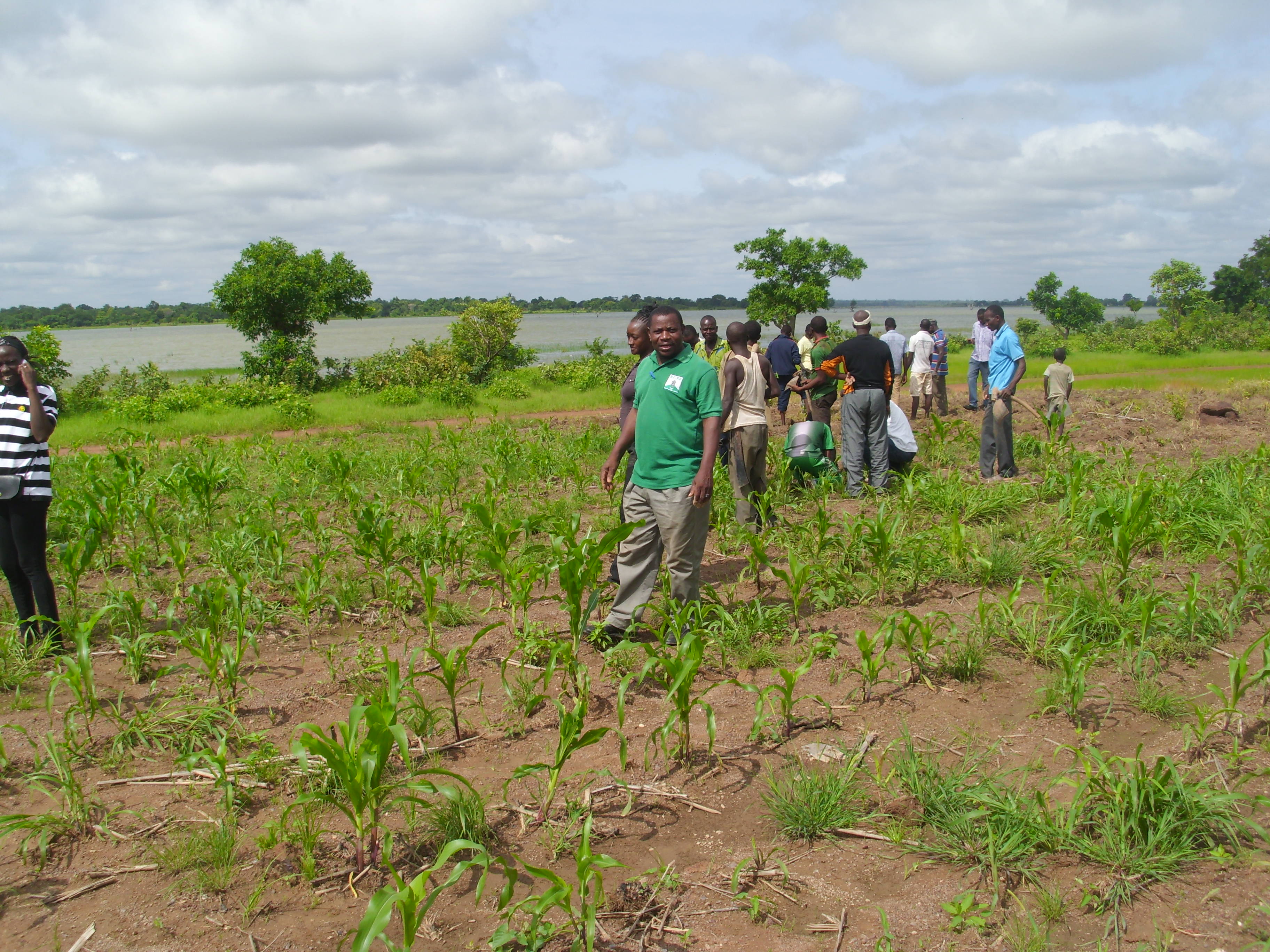 Beaucoup étaient mobilisés pour cette journée de salubrité.