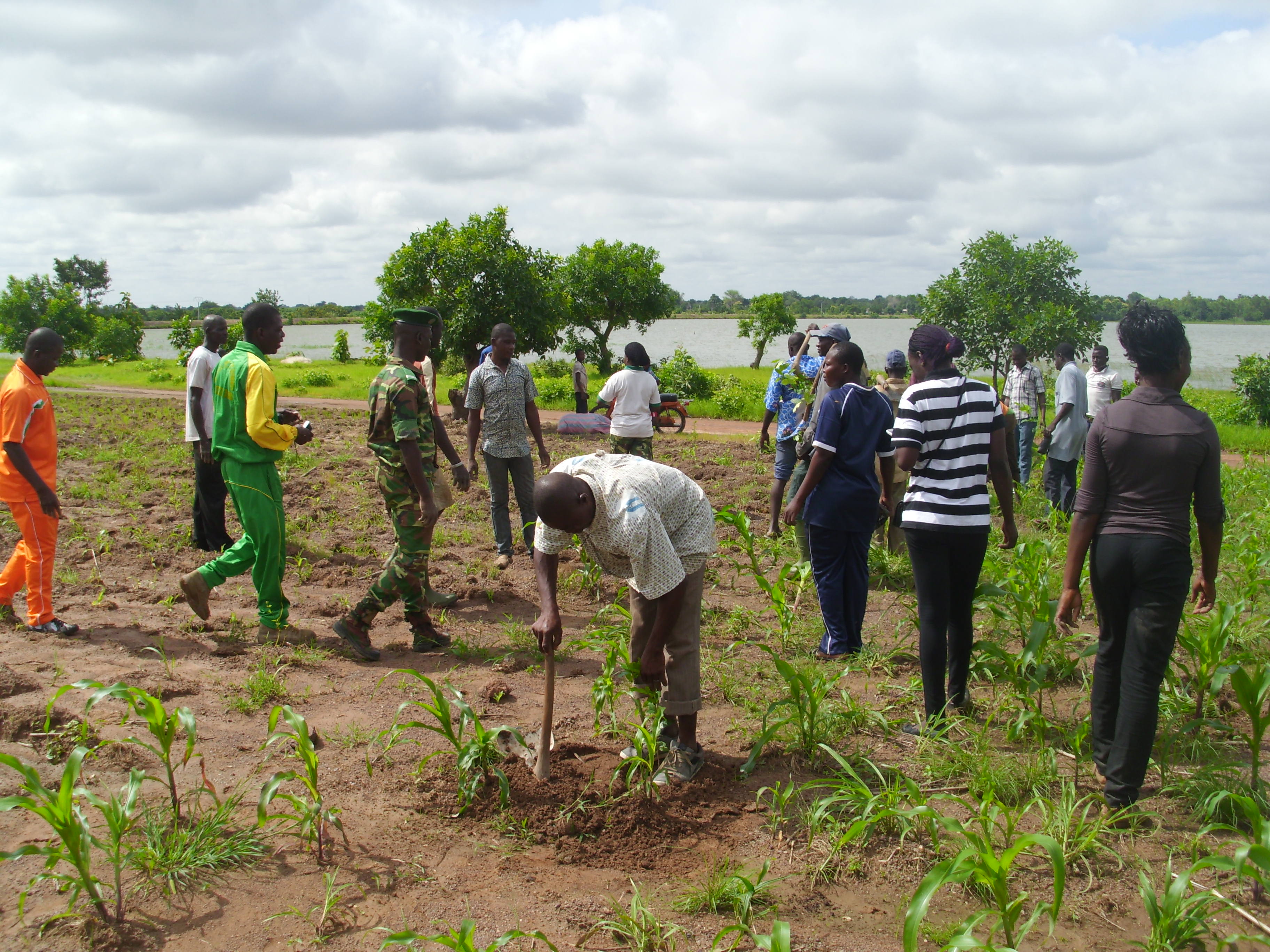 Beaucoup étaient mobilisés pour cette journée de salubrité.