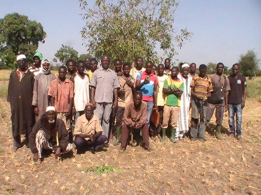 L'équipe visitant les rizières